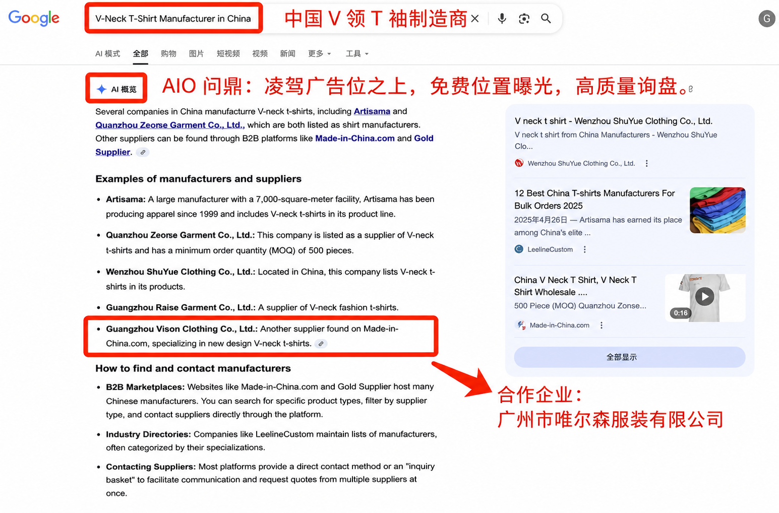 Google AI Overview曝光截图